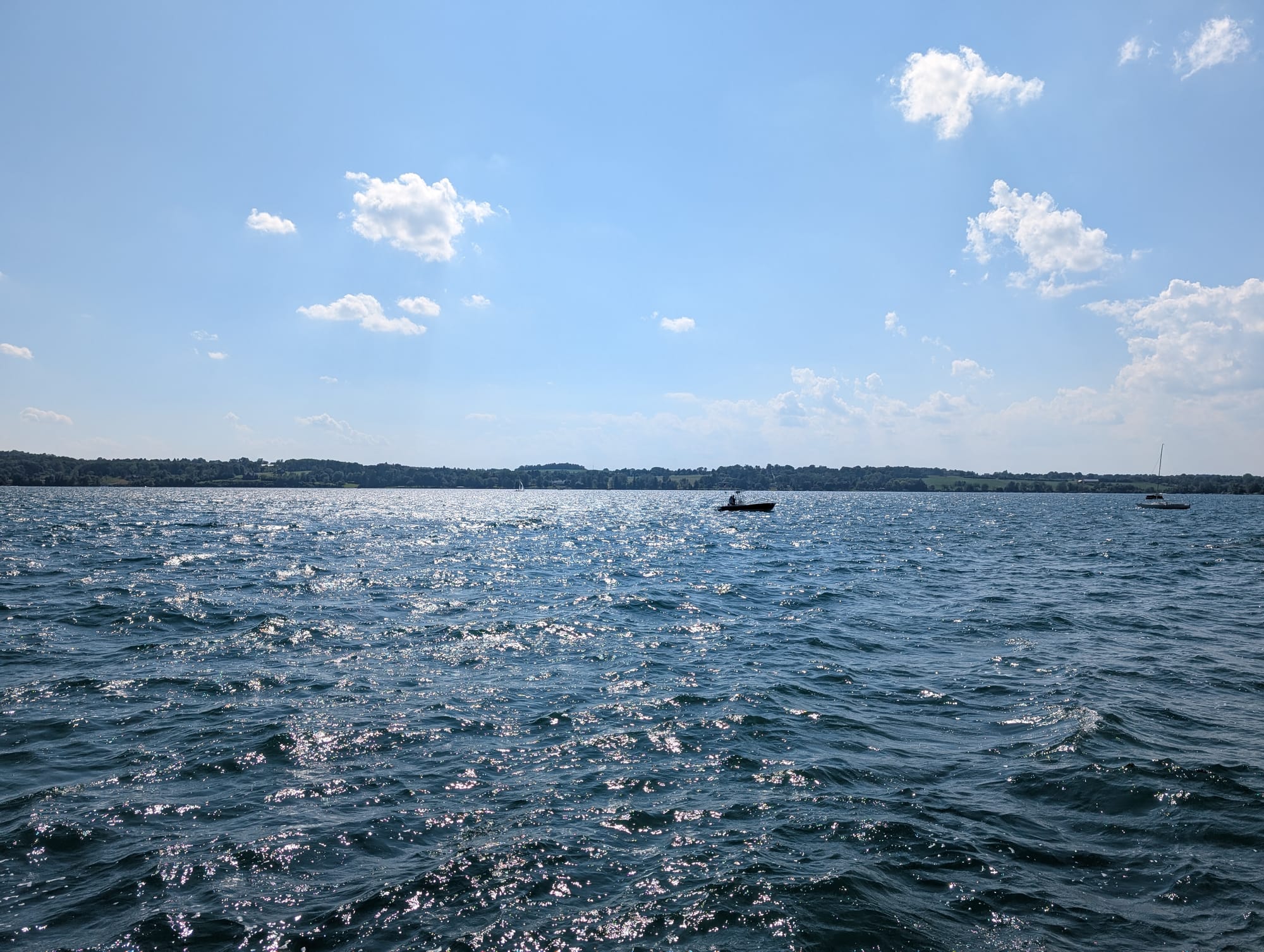 Vacation Reads: From Procrastination to Muses, My Unfiltered Thoughts on The War of Art